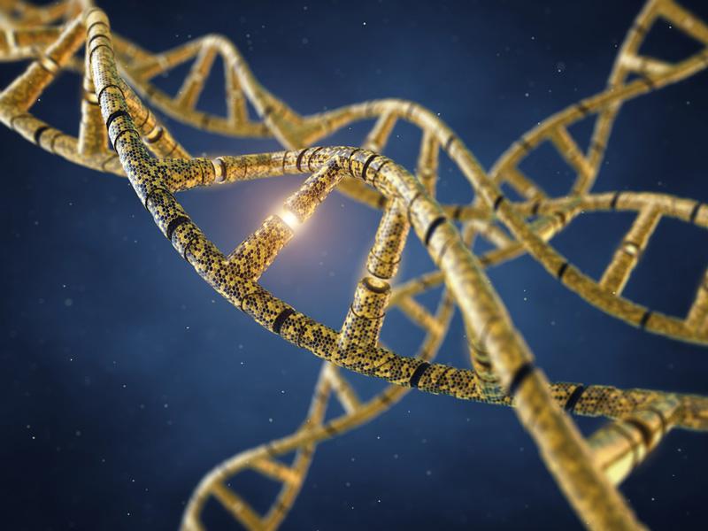 Curiosidades asombrosas sobre la genética humana-0