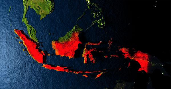 Encuentran gigantesco “monstruo” marino en Indonesia-0